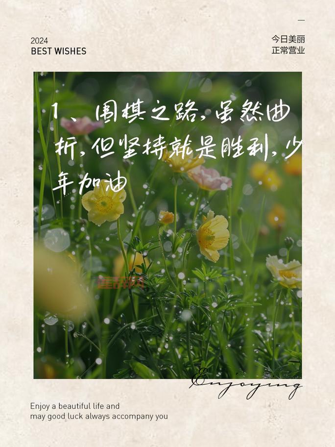 手谈5下载：与电脑对战，从业余初段开始你的围棋之路！