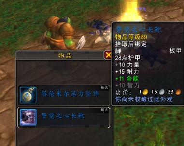 亡魂护肩搭配指南：战士、圣骑士幻化推荐