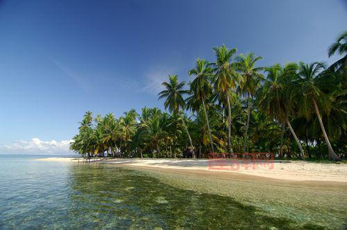 海岛大亨3下载：中文版，体验统治热带岛国的乐趣！