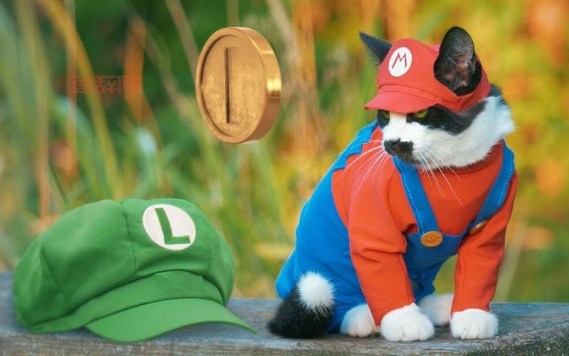 猫版超级玛里奥：毁童年神作，你敢挑战吗？