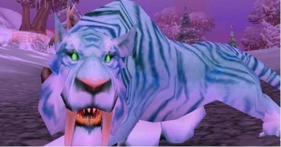 猎人宝宝哪家强？盘点魔兽世界最稀有宠物！