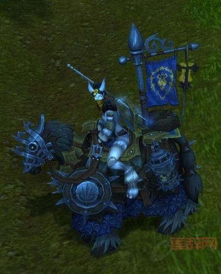 魔兽世界吉尔尼斯战袍：狼人战士的专属制服，展现你的忠诚与勇气！