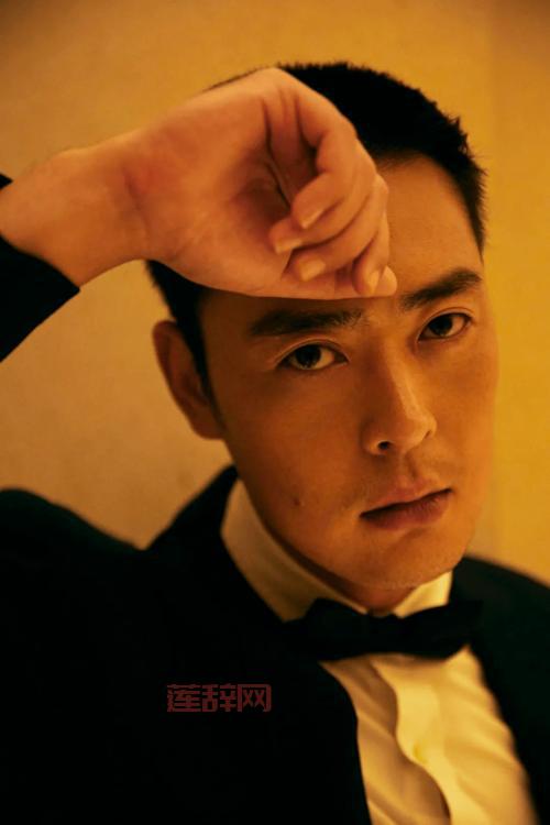 桃花直播：BD超清，沦入沧桑主演