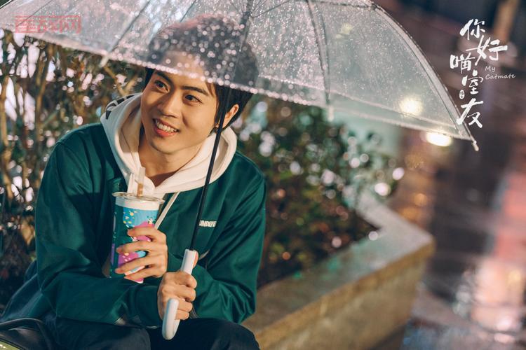 猫汤下载：治愈系养猫游戏，解锁更多萌宠！