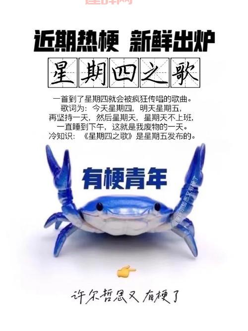 懂王是谁？揭秘网络热梗背后的趣味与讽刺