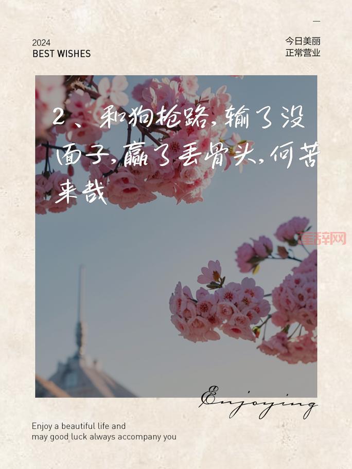 何苦来哉：一曲感情的心灵解读