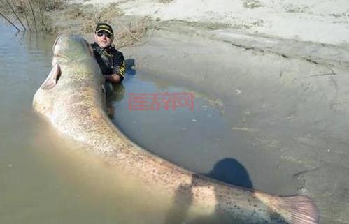 探索深海垂钓乐趣：如何钓到更多大鱼