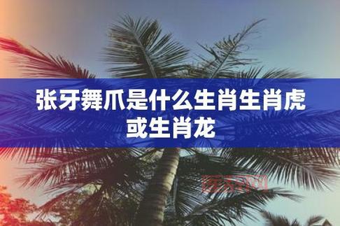 “张牙舞爪”猜生肖：详细解读与常见答案分析