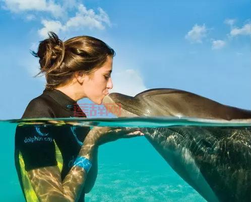 性感海滩2：体验梦幻海滩与极致浪漫的完美结合