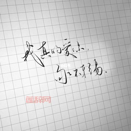 “我真的爱你句句不轻易”出自哪首歌？完整歌词及歌曲背景