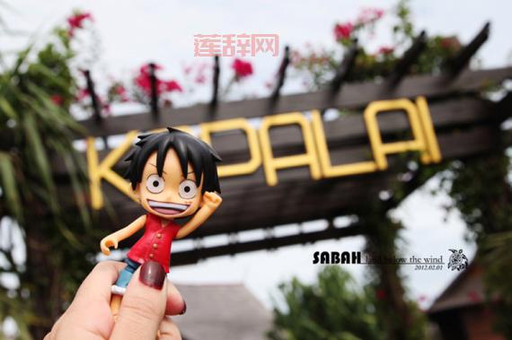 路飞的假期破解版在哪里下载？这个网站靠谱！