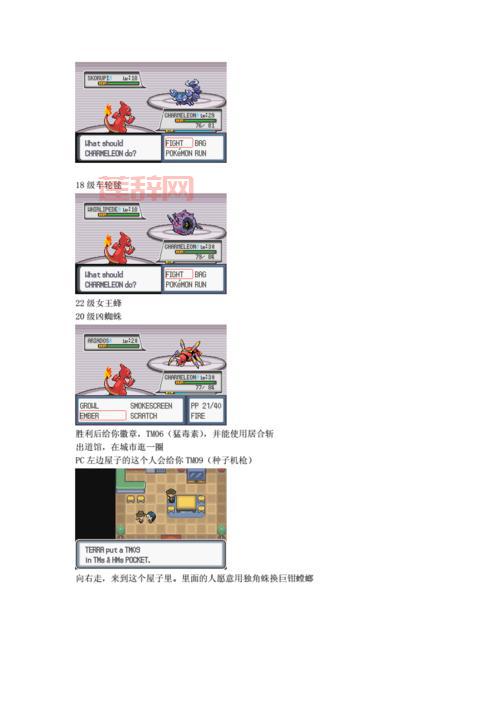 口袋妖怪白金二周目攻略图文详解，通关必看！