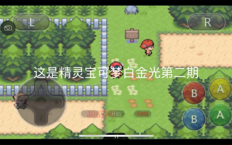 口袋妖怪白金二周目攻略图文详解，通关必看！