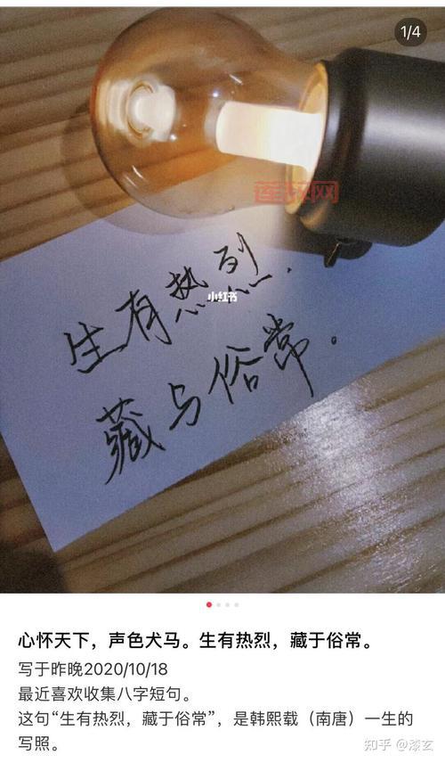 “生而耀眼我很抱歉”这句话太扎心，你有过类似的感受吗？