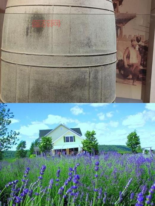 免费领取亲爱的埃斯特：限时活动不容错过！