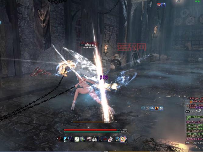 洛奇英雄传维拉装备解析：如何选择最适合的防具与武器