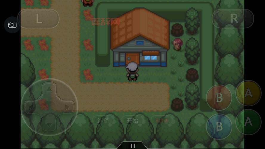 口袋妖怪珍珠钻石一周目通关攻略，萌新也能变大神！