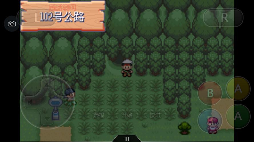 口袋妖怪珍珠钻石一周目通关攻略，萌新也能变大神！