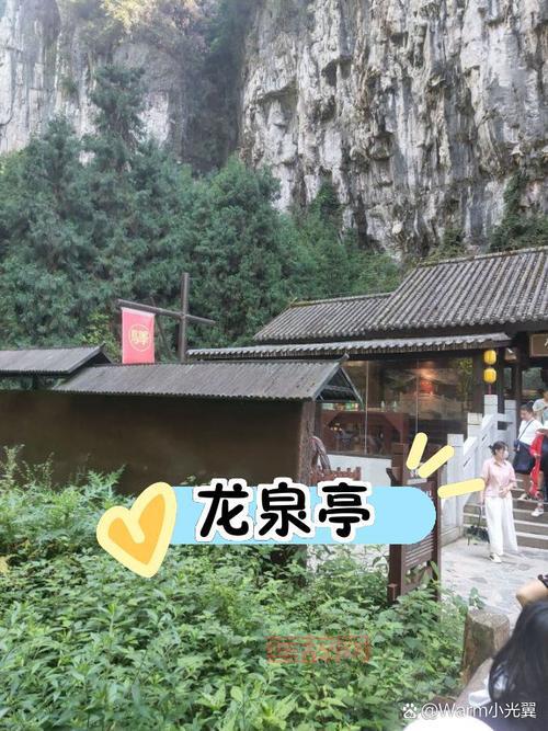 皇后养成计划黑龙攻略:手把手教你达成黑龙夫人结局!