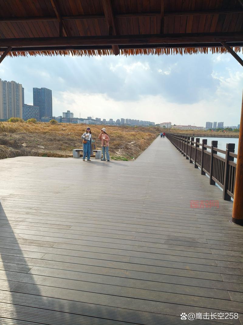 HAWX2下载与安装问题解决：解决启动和补丁难题