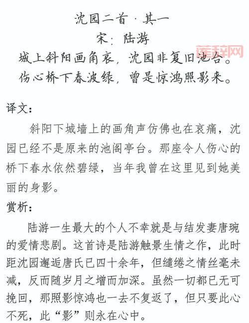 肺渴朝来顿欲苏:解读陆游诗中的养生智慧