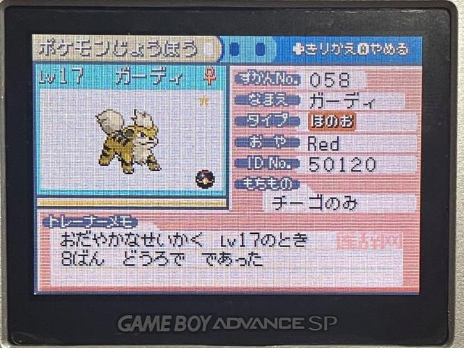 想玩转宝可梦火红？这份图文详细攻略你必须收藏！