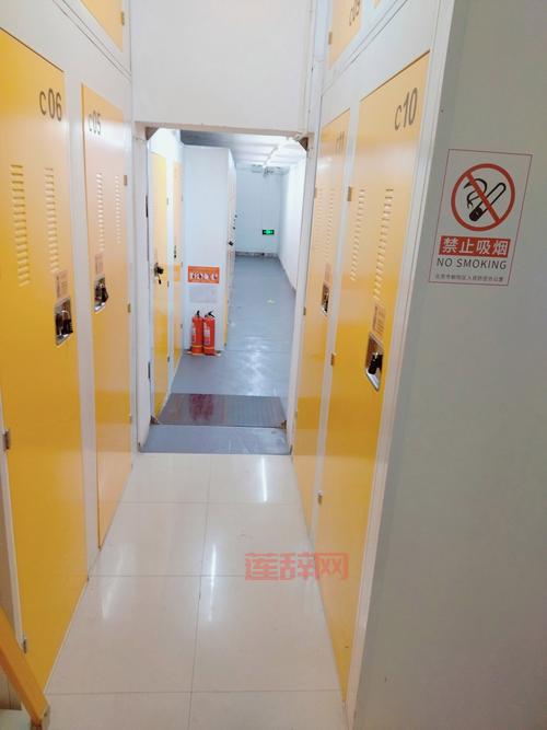 迷你艾力斯和迷你寒冰虎图片首曝，属性外观全方位揭秘！