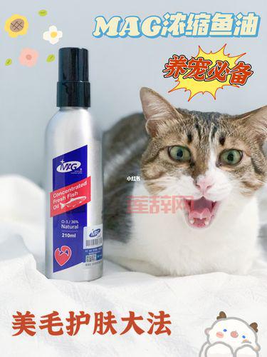 宝藏归离圆盘位置怎么找?这份详细指南请收好!