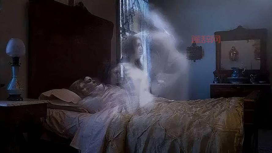 家庭与命运的碰撞——龙城揭开郑氏家族的情感故事