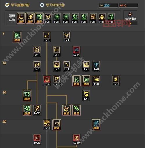 漫游枪手技能详解：最佳加点与使用技巧