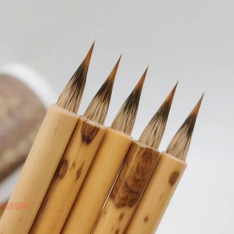 紫毫毛笔是什么动物的毛？揭开野兔毛的秘密