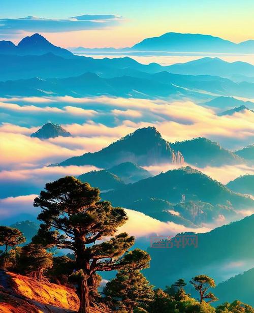 森林女神的传说与象征：大自然的神秘力量