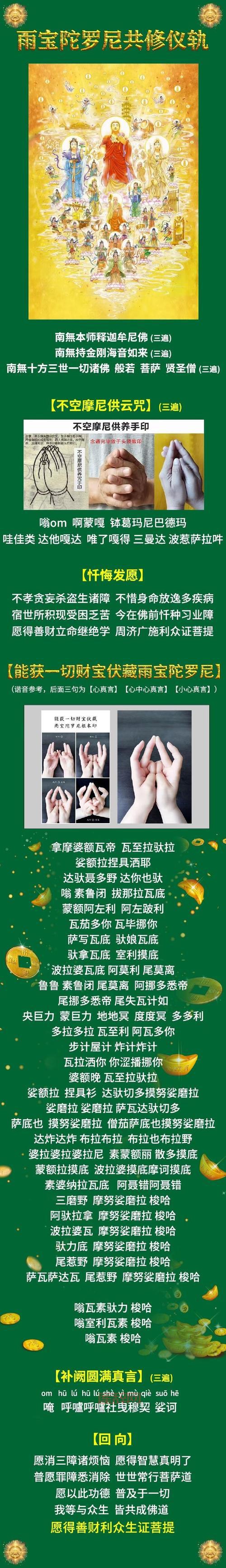 叶绿抓宠金手指怎么输？手把手教你正确使用方法！