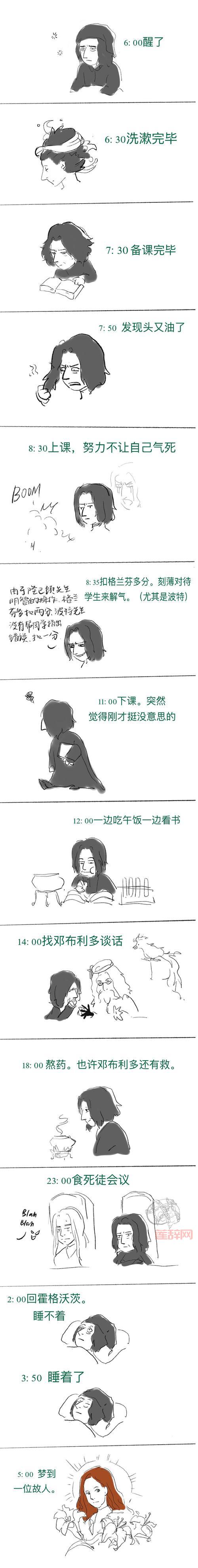 三个斯内普有什么区别?这篇文章详细解读!