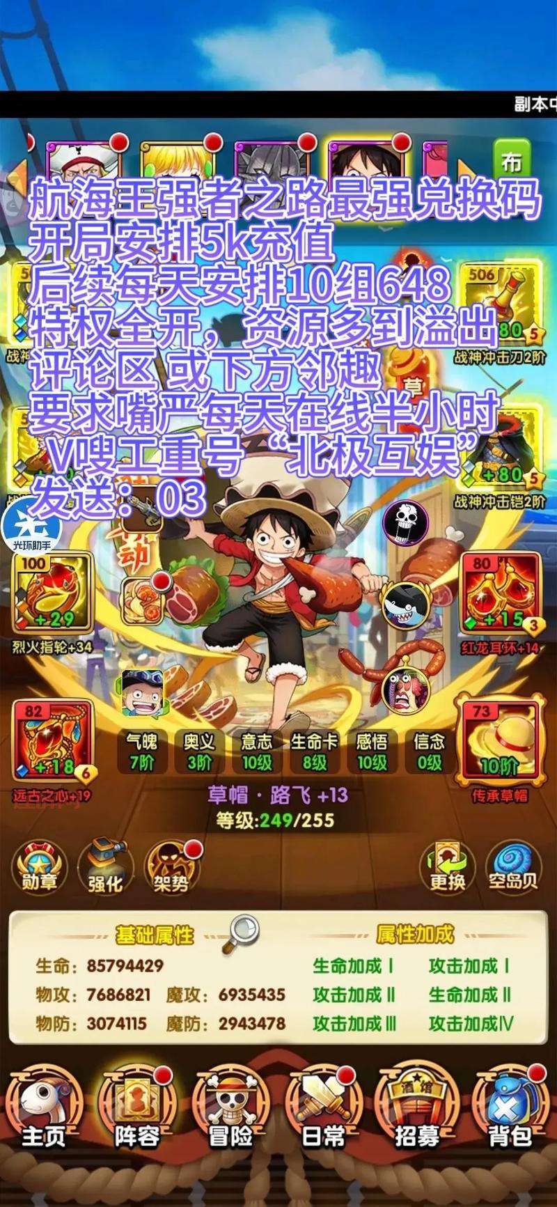 口袋海贼王怎么玩厉害？这份攻略让你少走弯路！