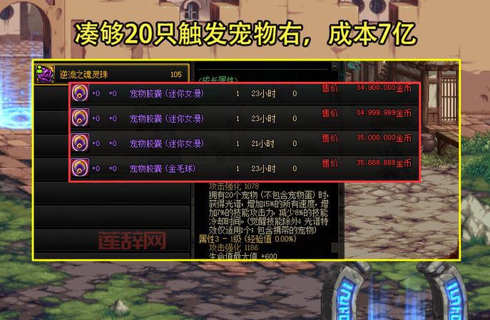 dnf宠物封印胶囊