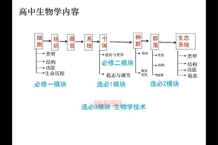 什么是完美细胞？一文带你了解它的秘密！