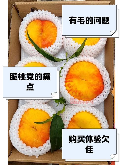 想快速获得大乐斗蟠桃？这几个方法要知道！