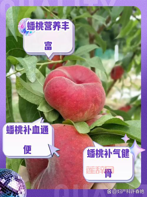 想快速获得大乐斗蟠桃？这几个方法要知道！