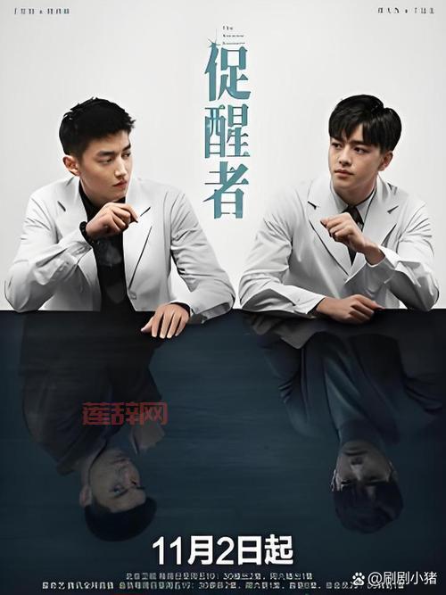 促醒者一共多少集看完？了解具体集数方便安排追剧时间！