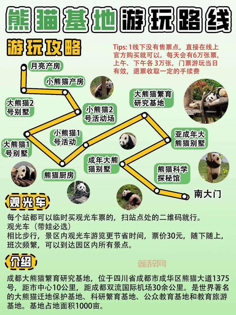 熊猫人任务流程攻略哪里找？这有详细步骤跟着做！