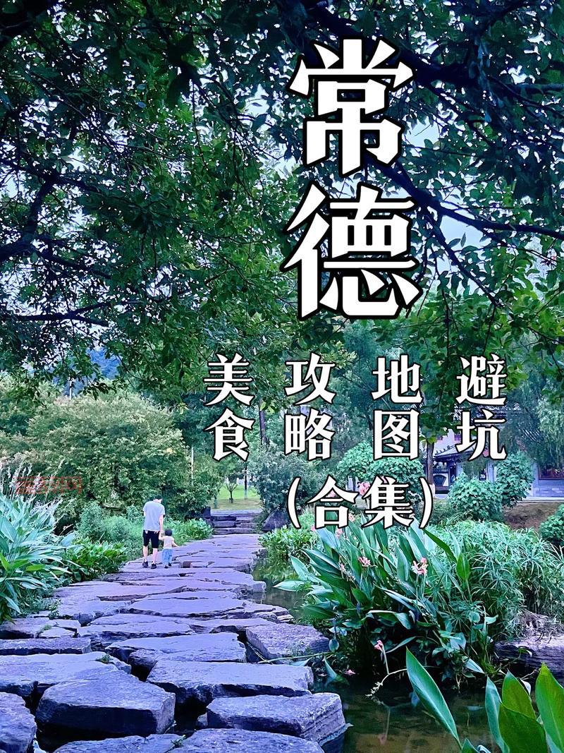 新手怎么玩武林q传？这份超详细攻略你一定需要！