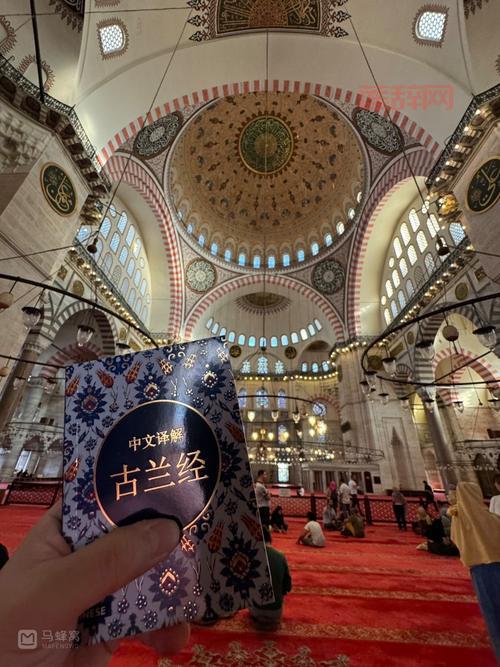 古兰经下载哪个版本好？这几个版本很多人推荐！