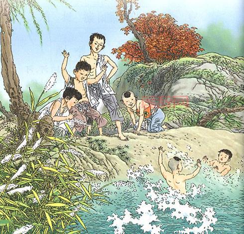 雨后的小故事图片大全，每一张都值得收藏！