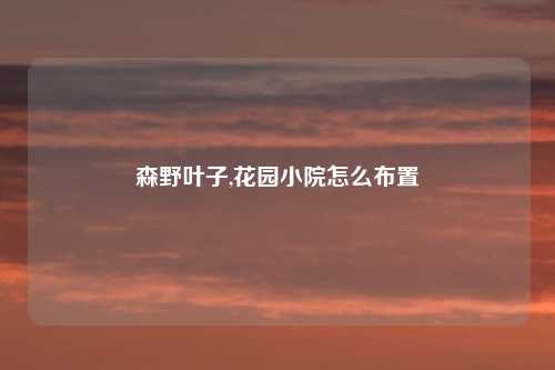 森野叶子,花园小院怎么布置