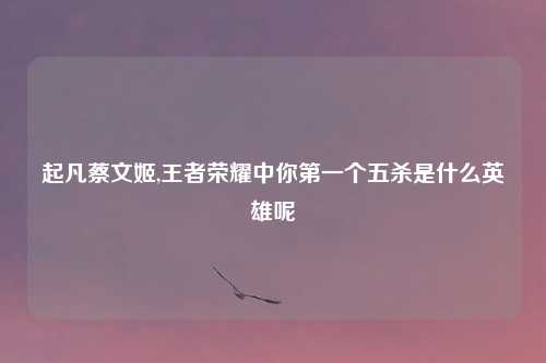 起凡蔡文姬,王者荣耀中你第一个五杀是什么英雄呢