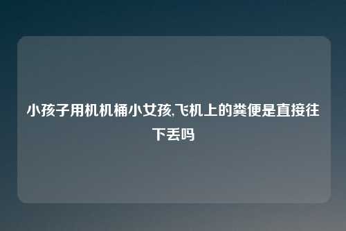 小孩子用机机桶小女孩,飞机上的粪便是直接往下丢吗