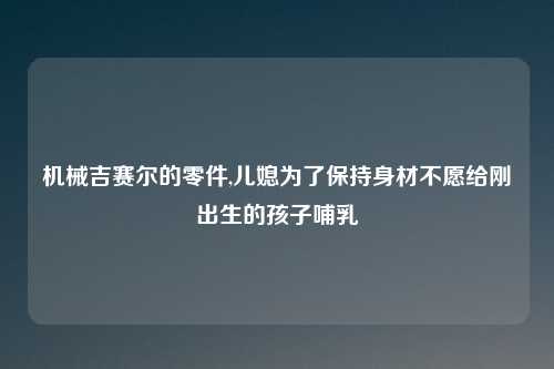 机械吉赛尔的零件,儿媳为了保持身材不愿给刚出生的孩子哺乳