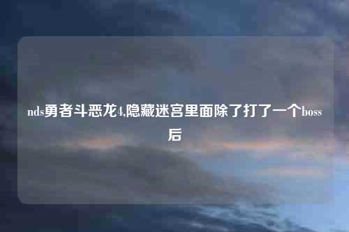 nds勇者斗恶龙4,隐藏迷宫里面除了打了一个boss后
