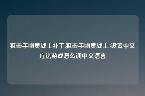 狙击手幽灵战士补丁,狙击手幽灵战士3设置中文方法游戏怎么调中文语言